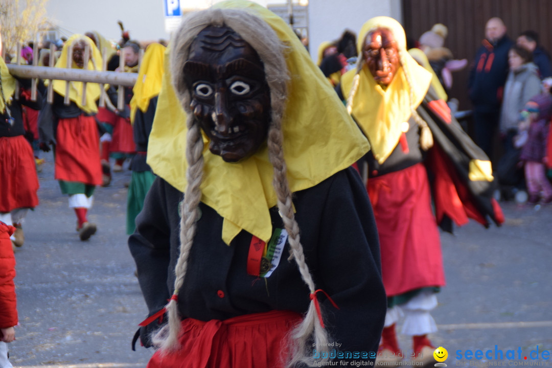 Grosser Narrensprung: Langenargen am Bodensee, 19.01.2020