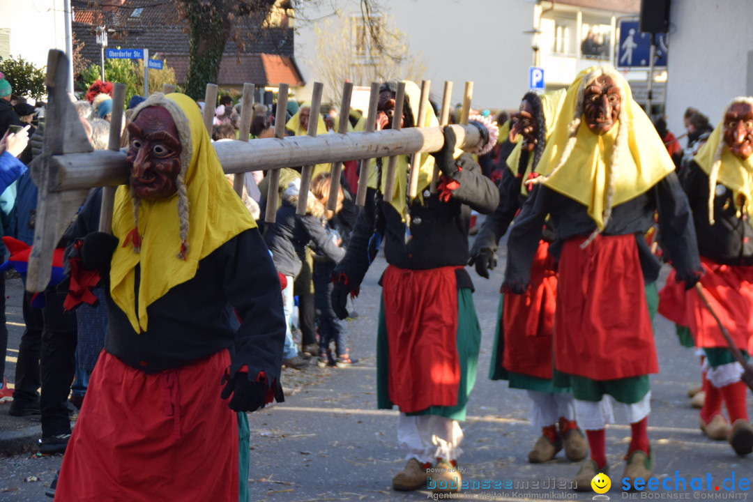 Grosser Narrensprung: Langenargen am Bodensee, 19.01.2020