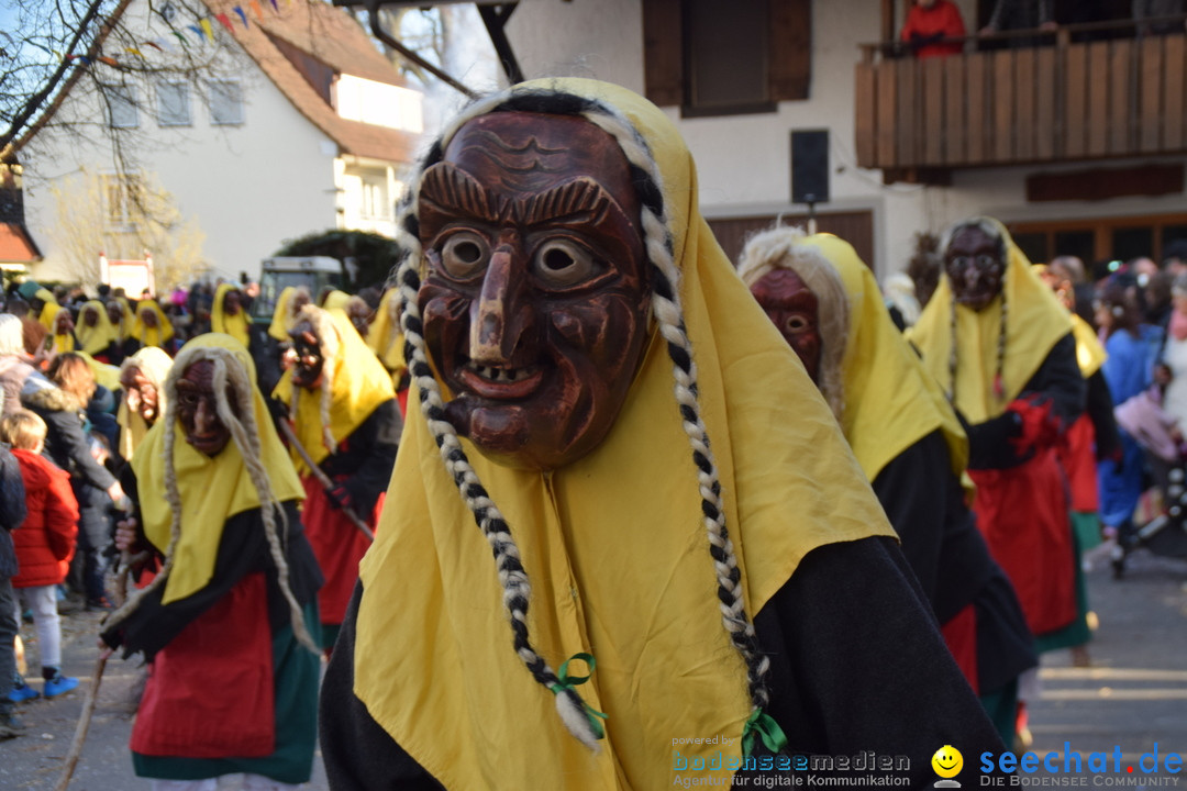 Grosser Narrensprung: Langenargen am Bodensee, 19.01.2020