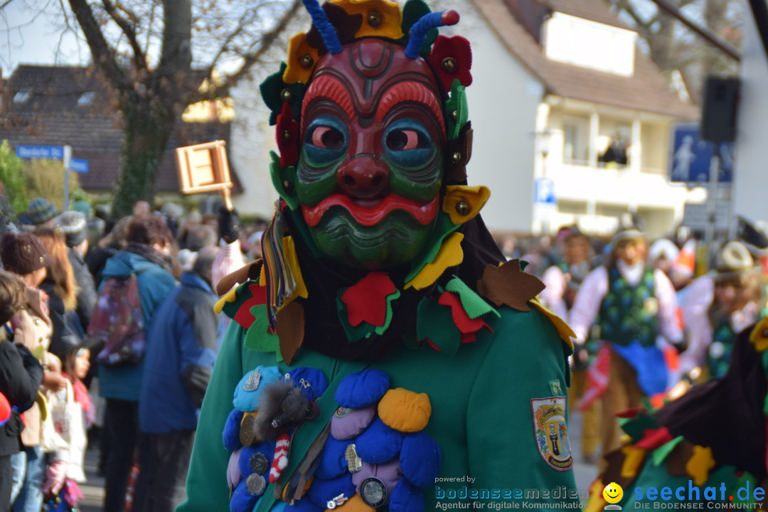 Grosser Narrensprung: Langenargen am Bodensee, 19.01.2020