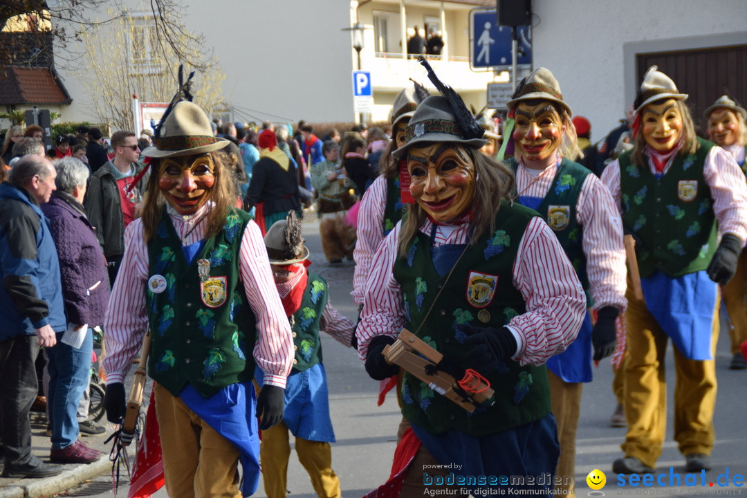 Grosser Narrensprung: Langenargen am Bodensee, 19.01.2020