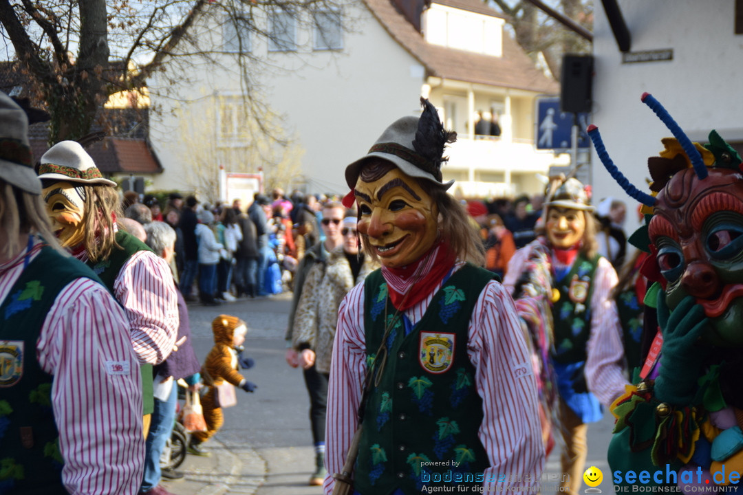 Grosser Narrensprung: Langenargen am Bodensee, 19.01.2020