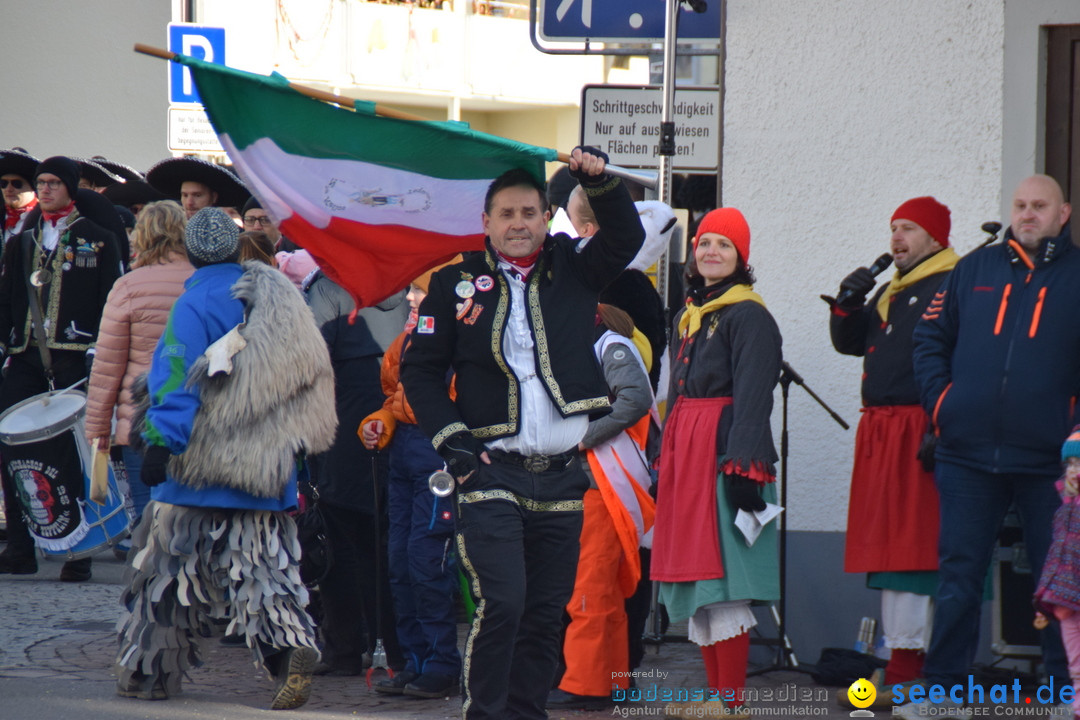 Grosser Narrensprung: Langenargen am Bodensee, 19.01.2020