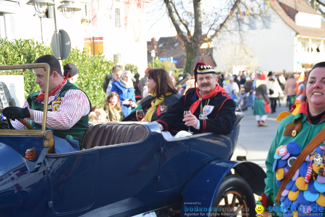 Grosser Narrensprung: Langenargen am Bodensee, 19.01.2020