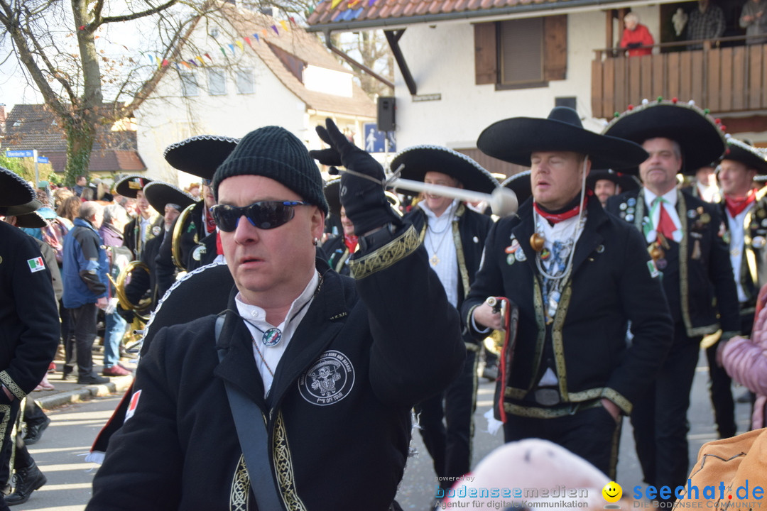 Grosser Narrensprung: Langenargen am Bodensee, 19.01.2020