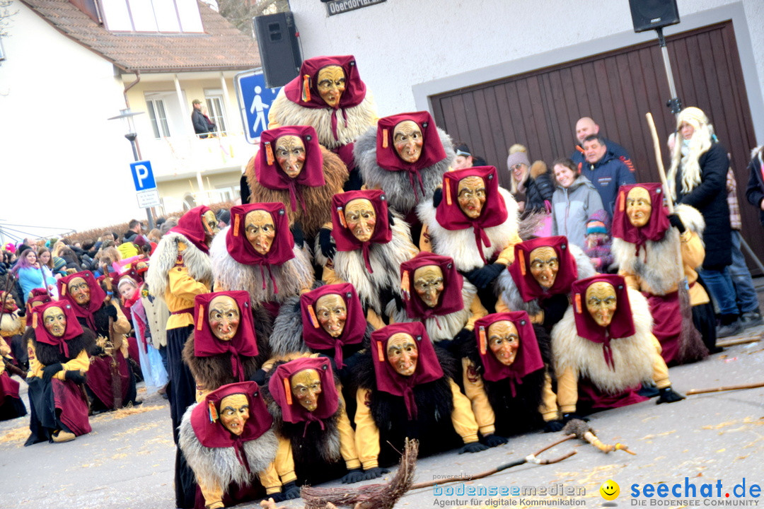 Grosser Narrensprung: Langenargen am Bodensee, 19.01.2020