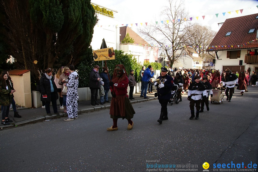 Grosser Narrensprung: Langenargen am Bodensee, 19.01.2020