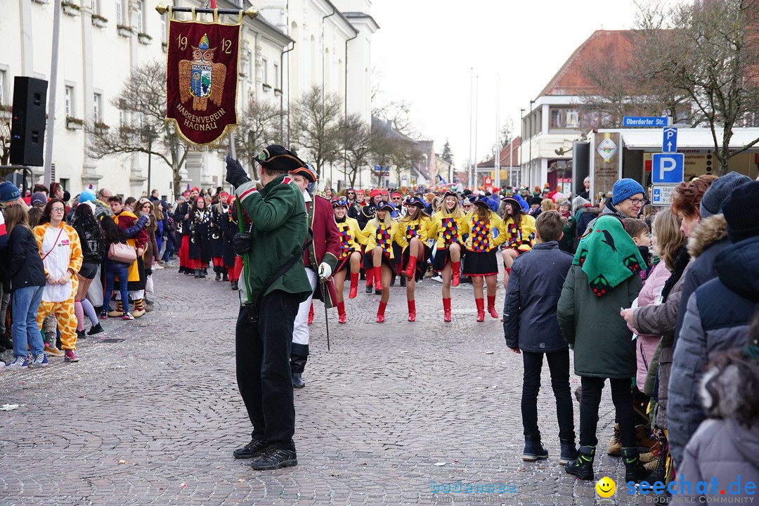 Grosser Narrensprung: Langenargen am Bodensee, 19.01.2020