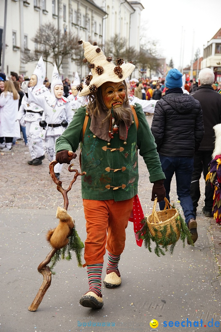 Grosser Narrensprung: Langenargen am Bodensee, 19.01.2020