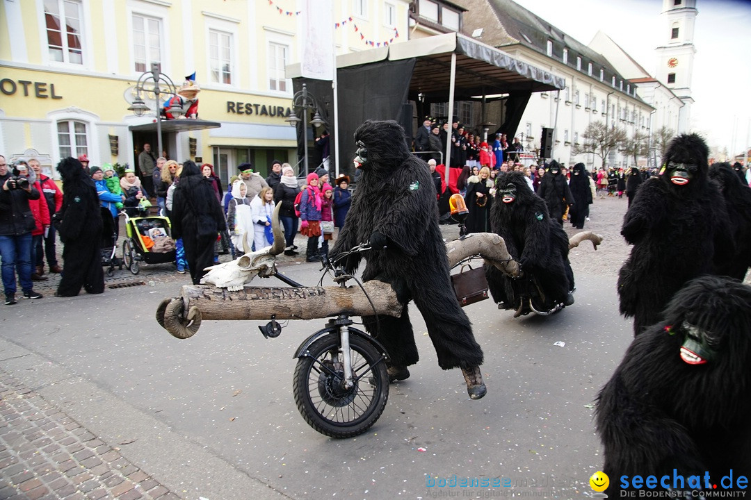 Grosser Narrensprung: Langenargen am Bodensee, 19.01.2020