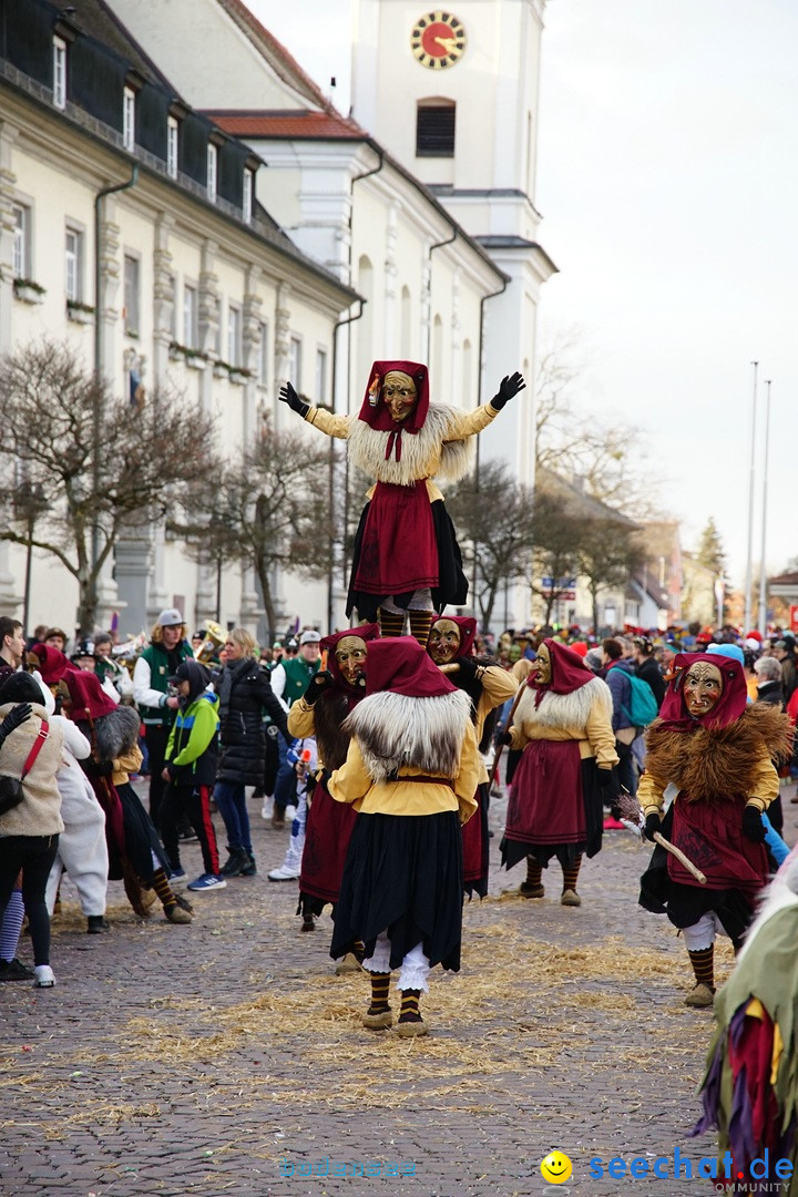 Grosser Narrensprung: Langenargen am Bodensee, 19.01.2020