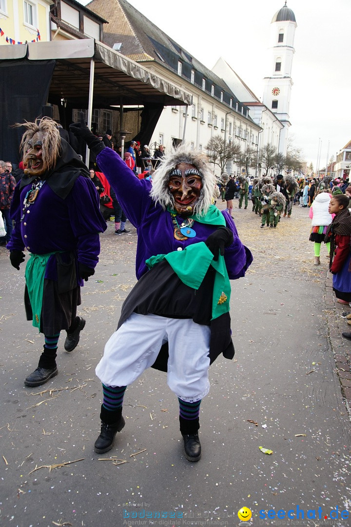 Grosser Narrensprung: Langenargen am Bodensee, 19.01.2020