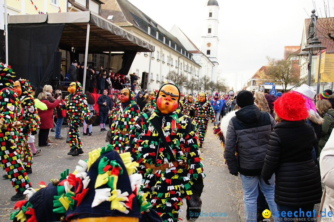 Grosser Narrensprung: Langenargen am Bodensee, 19.01.2020