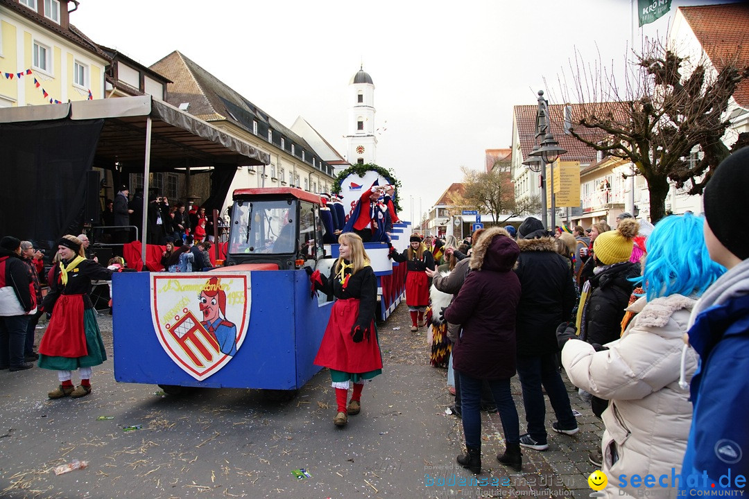 Grosser Narrensprung: Langenargen am Bodensee, 19.01.2020