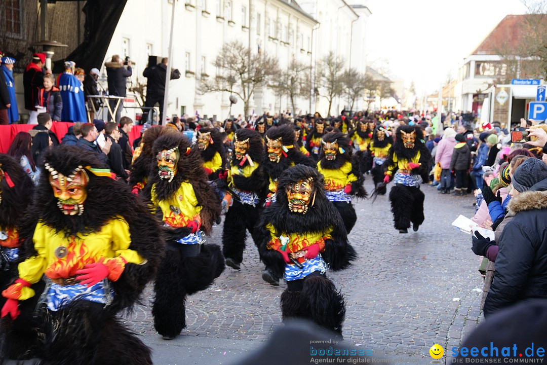 Grosser Narrensprung: Langenargen am Bodensee, 19.01.2020