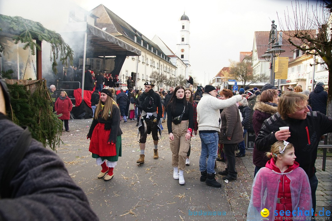 Grosser Narrensprung: Langenargen am Bodensee, 19.01.2020