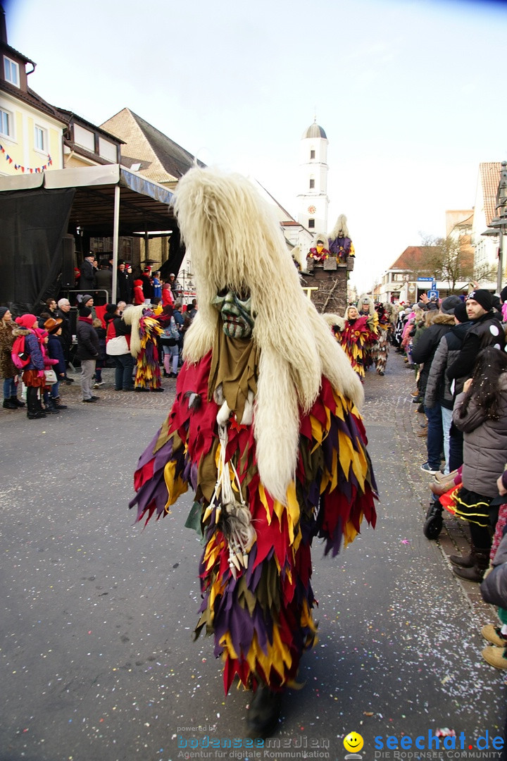 Grosser Narrensprung: Langenargen am Bodensee, 19.01.2020