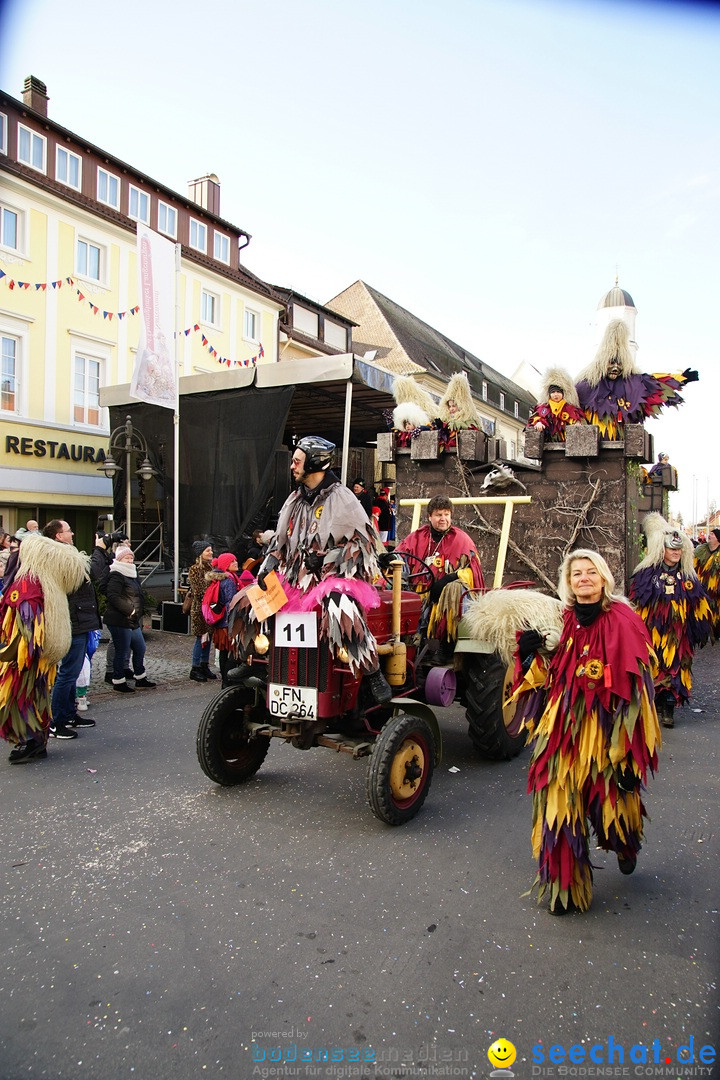 Grosser Narrensprung: Langenargen am Bodensee, 19.01.2020