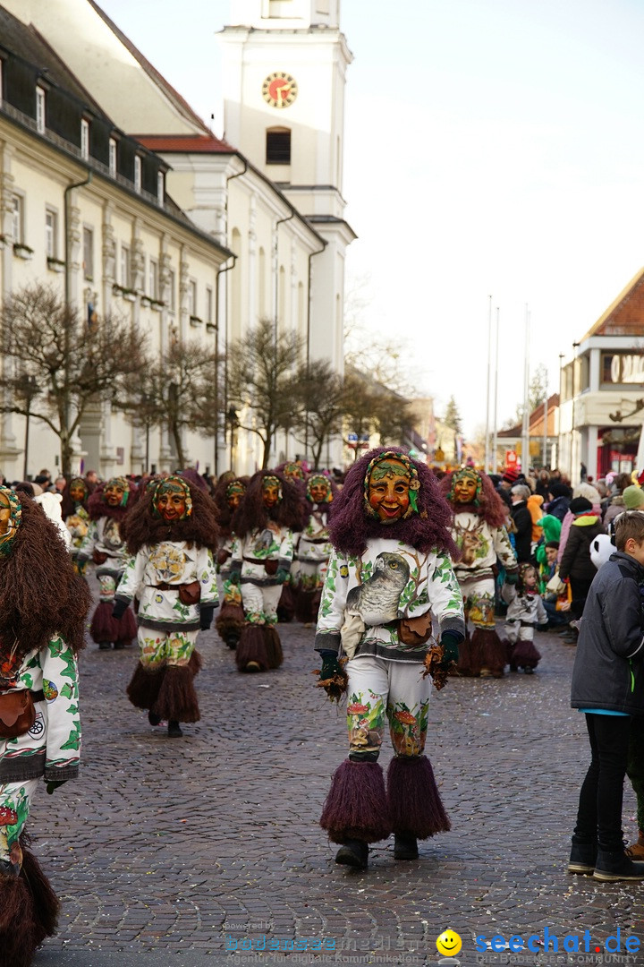 Grosser Narrensprung: Langenargen am Bodensee, 19.01.2020