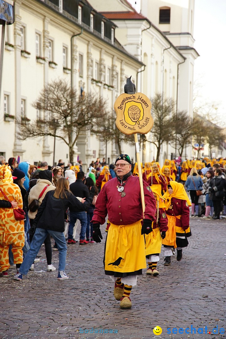 Grosser Narrensprung: Langenargen am Bodensee, 19.01.2020