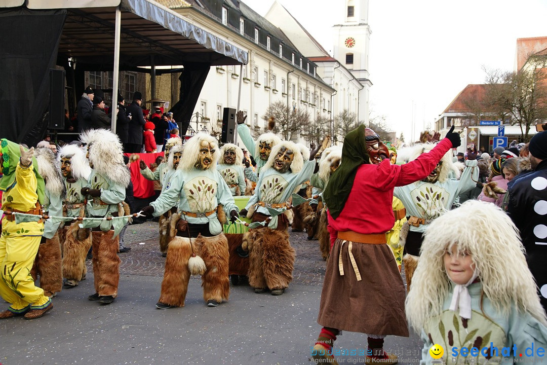 Grosser Narrensprung: Langenargen am Bodensee, 19.01.2020