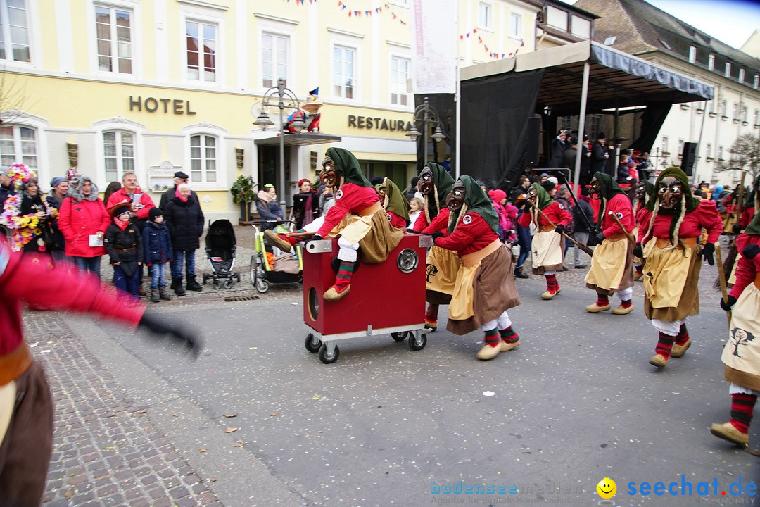 Grosser Narrensprung: Langenargen am Bodensee, 19.01.2020