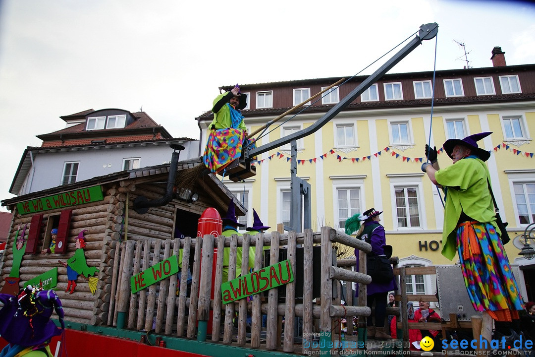 Grosser Narrensprung: Langenargen am Bodensee, 19.01.2020