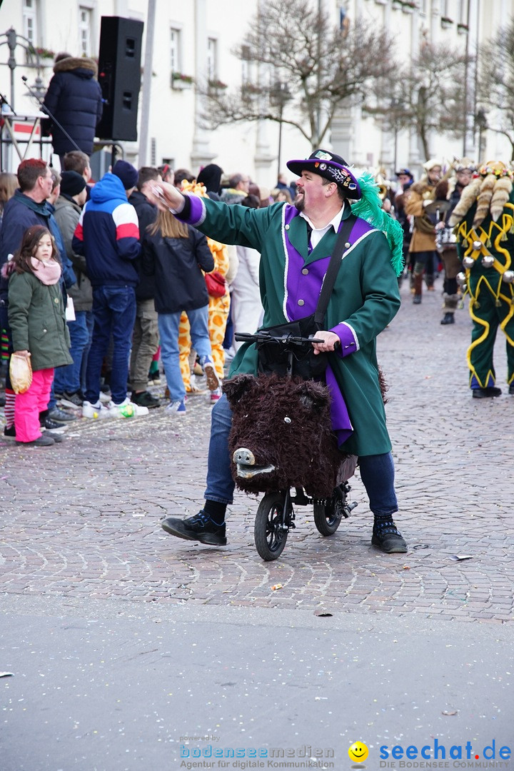 Grosser Narrensprung: Langenargen am Bodensee, 19.01.2020