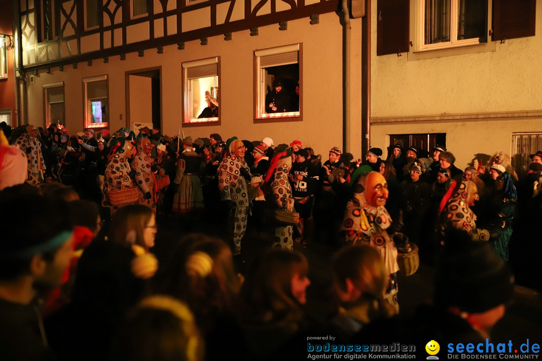 Narrentag des Viererbundes 2020: Nachtumzug in Ueberlingen, 25.01.2020