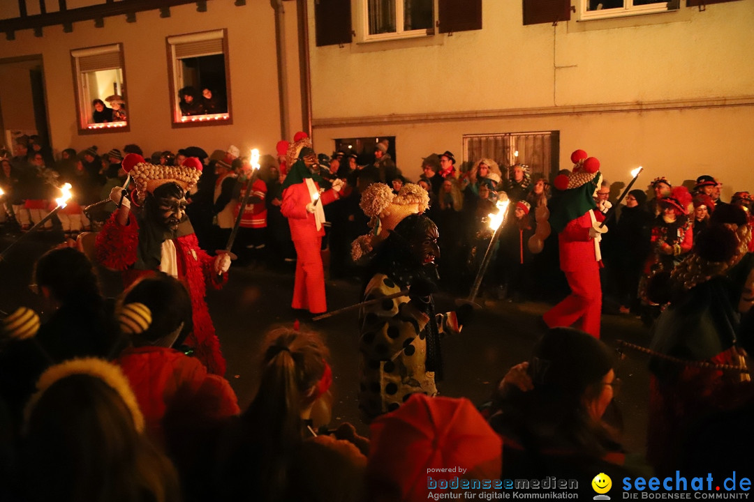 Narrentag des Viererbundes 2020: Nachtumzug in Ueberlingen, 25.01.2020