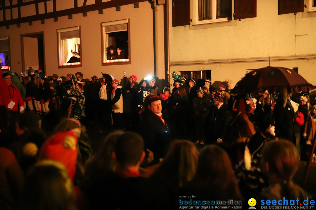 Narrentag des Viererbundes 2020: Nachtumzug in Ueberlingen, 25.01.2020