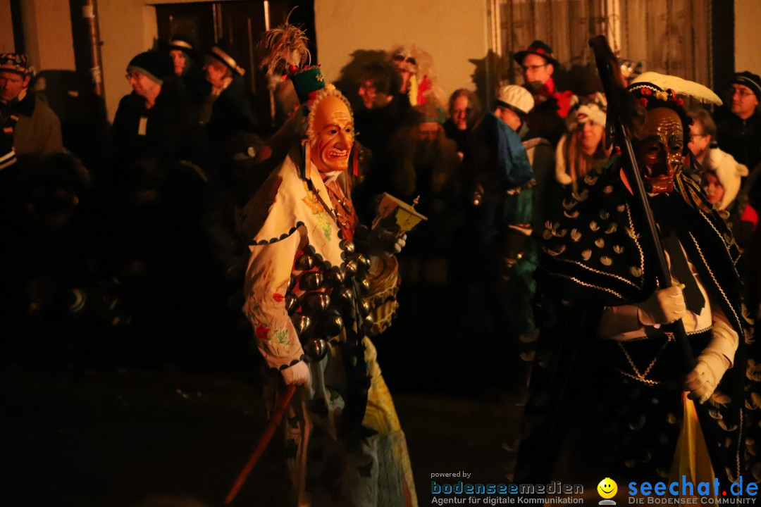 Narrentag des Viererbundes 2020: Nachtumzug in Ueberlingen, 25.01.2020