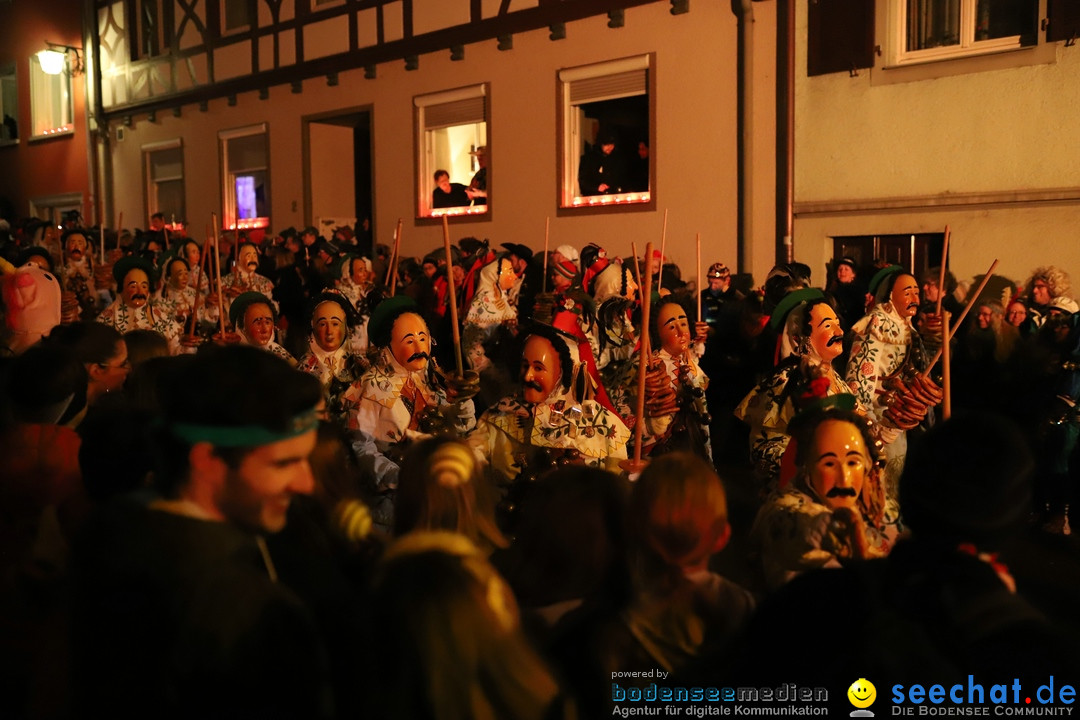 Narrentag des Viererbundes 2020: Nachtumzug in Ueberlingen, 25.01.2020