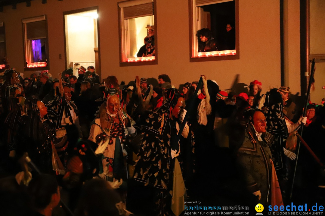 Narrentag des Viererbundes 2020: Nachtumzug in Ueberlingen, 25.01.2020