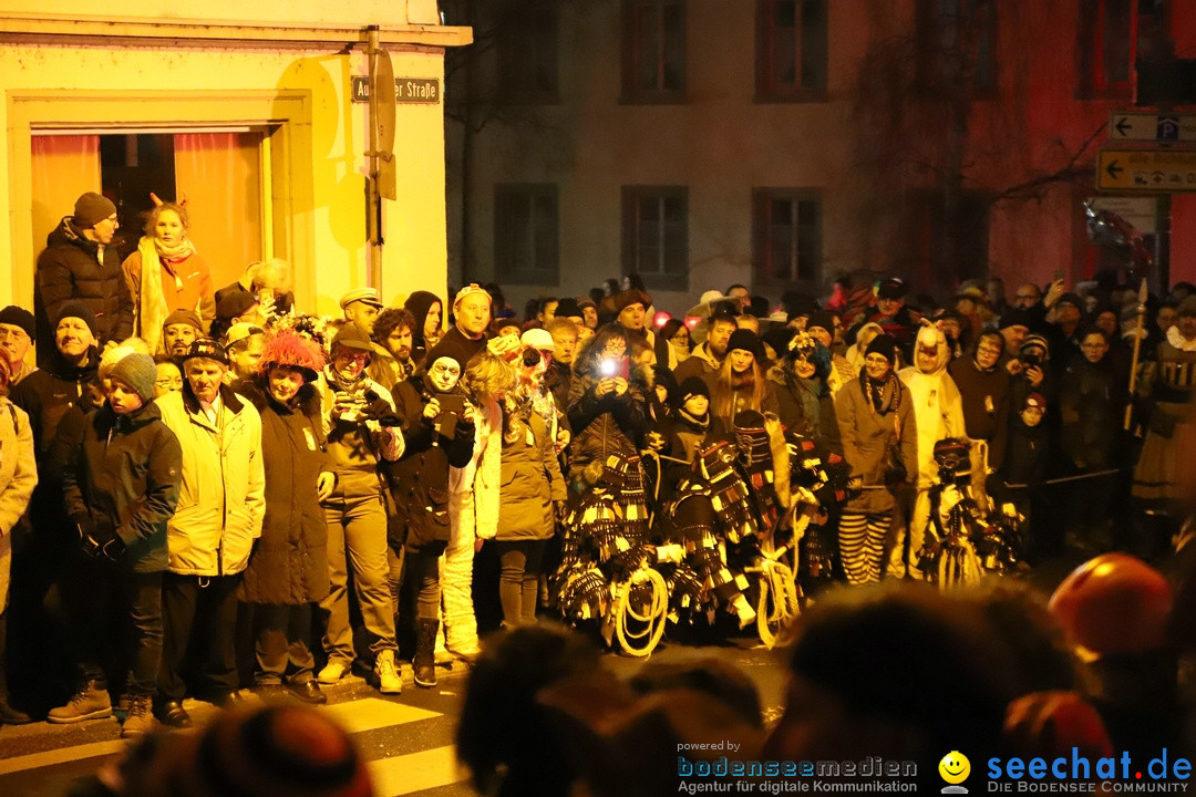 Narrentag des Viererbundes 2020: Nachtumzug in Ueberlingen, 25.01.2020