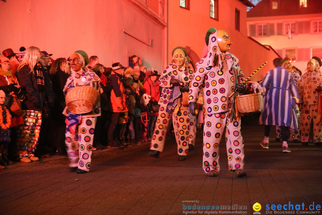 Narrentag des Viererbundes 2020: Nachtumzug in Ueberlingen, 25.01.2020