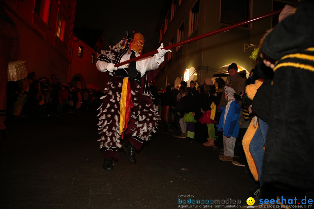 Narrentag des Viererbundes 2020: Nachtumzug in Ueberlingen, 25.01.2020