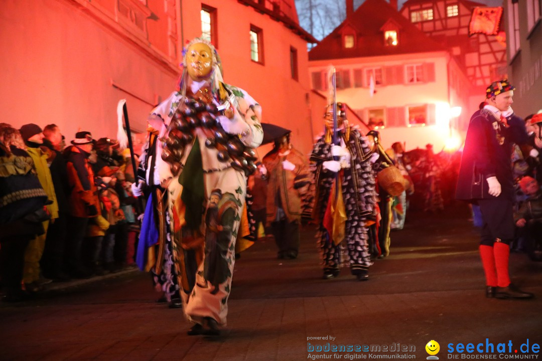 Narrentag des Viererbundes 2020: Nachtumzug in Ueberlingen, 25.01.2020