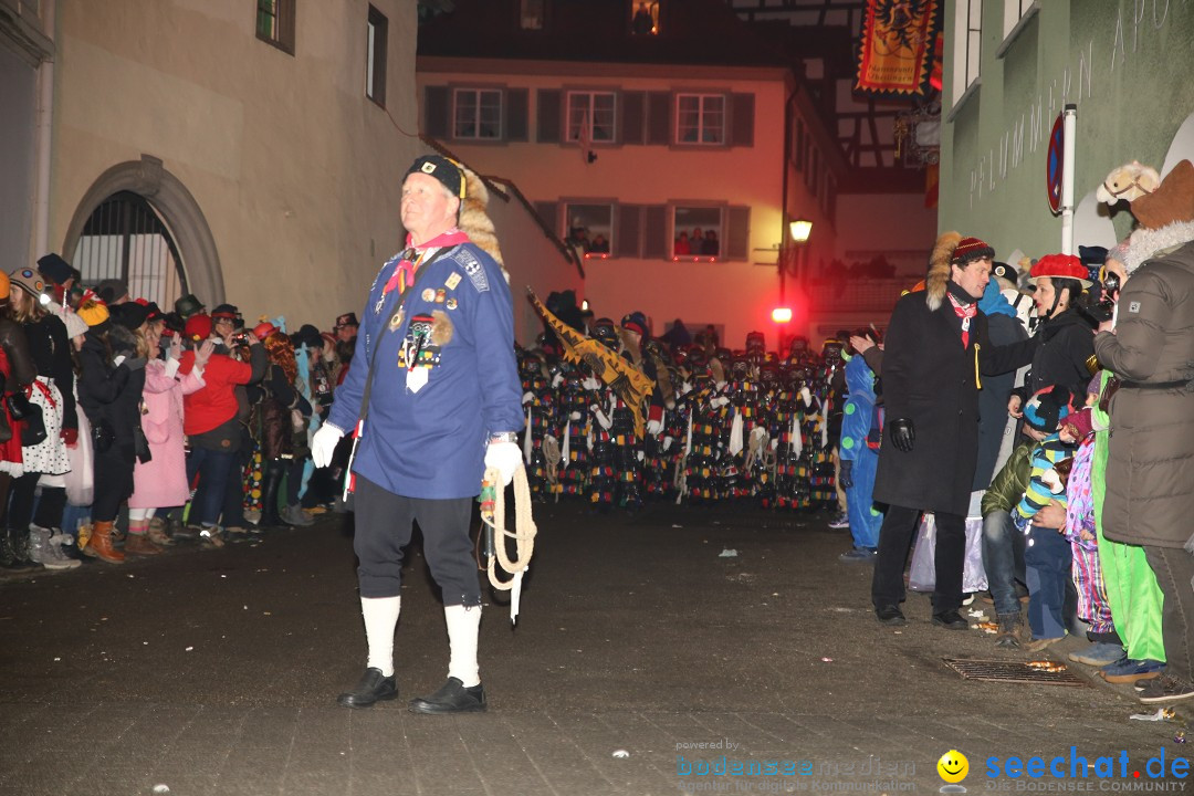 Narrentag des Viererbundes 2020: Nachtumzug in Ueberlingen, 25.01.2020