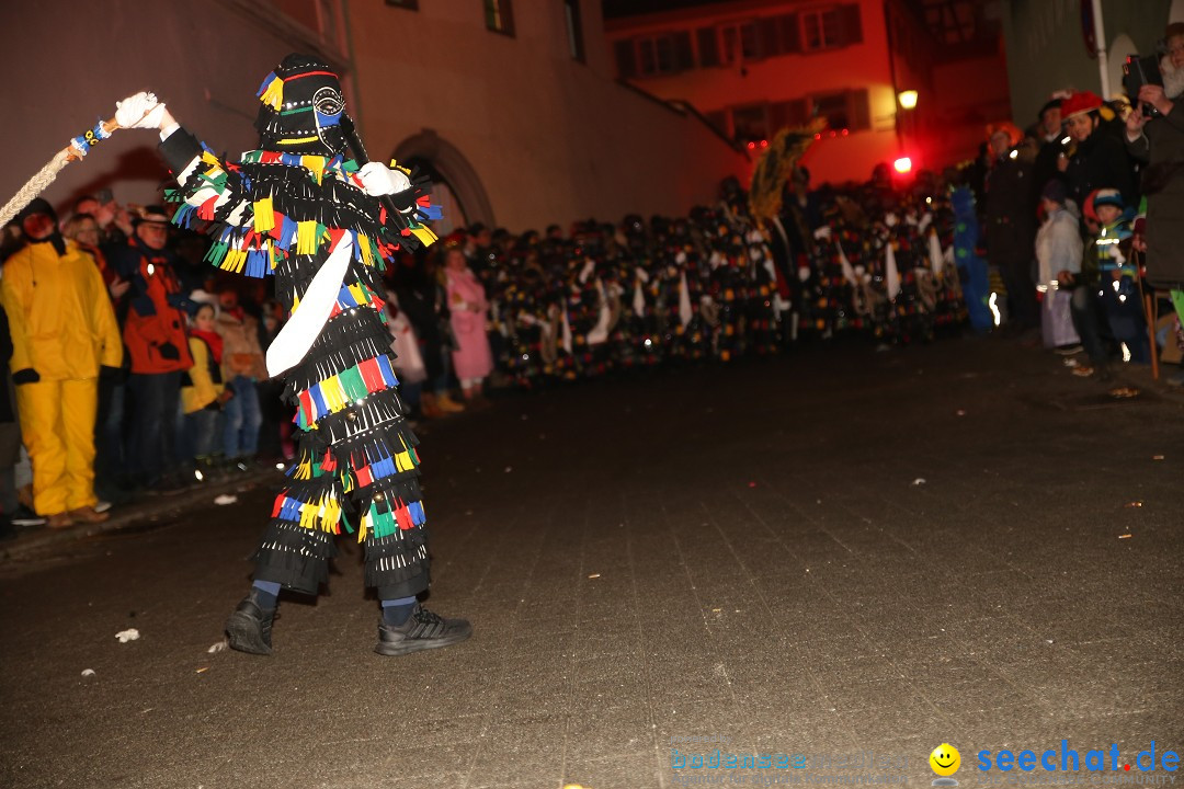 Narrentag des Viererbundes 2020: Nachtumzug in Ueberlingen, 25.01.2020