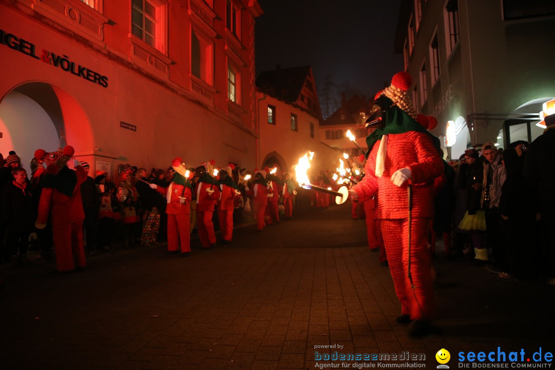 Narrentag des Viererbundes 2020: Nachtumzug in Ueberlingen, 25.01.2020