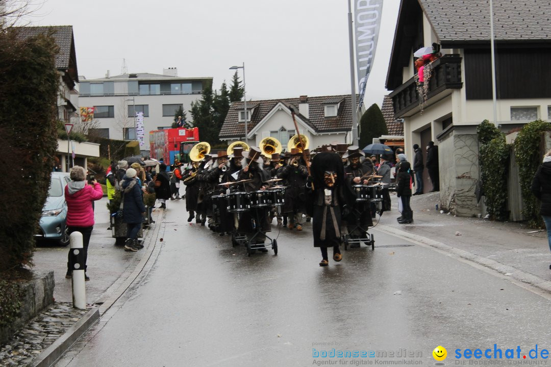 Bezirksumzug - Feusisberg - Schweiz, 02.02.2020