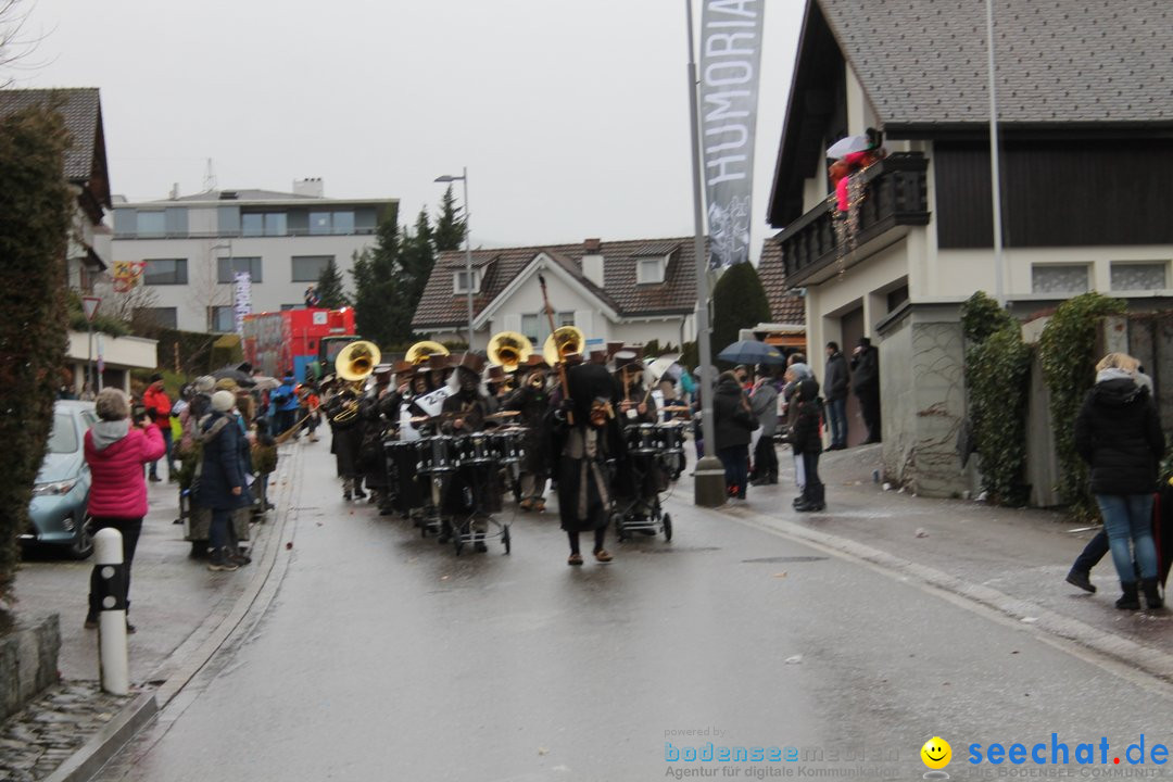 Bezirksumzug - Feusisberg - Schweiz, 02.02.2020