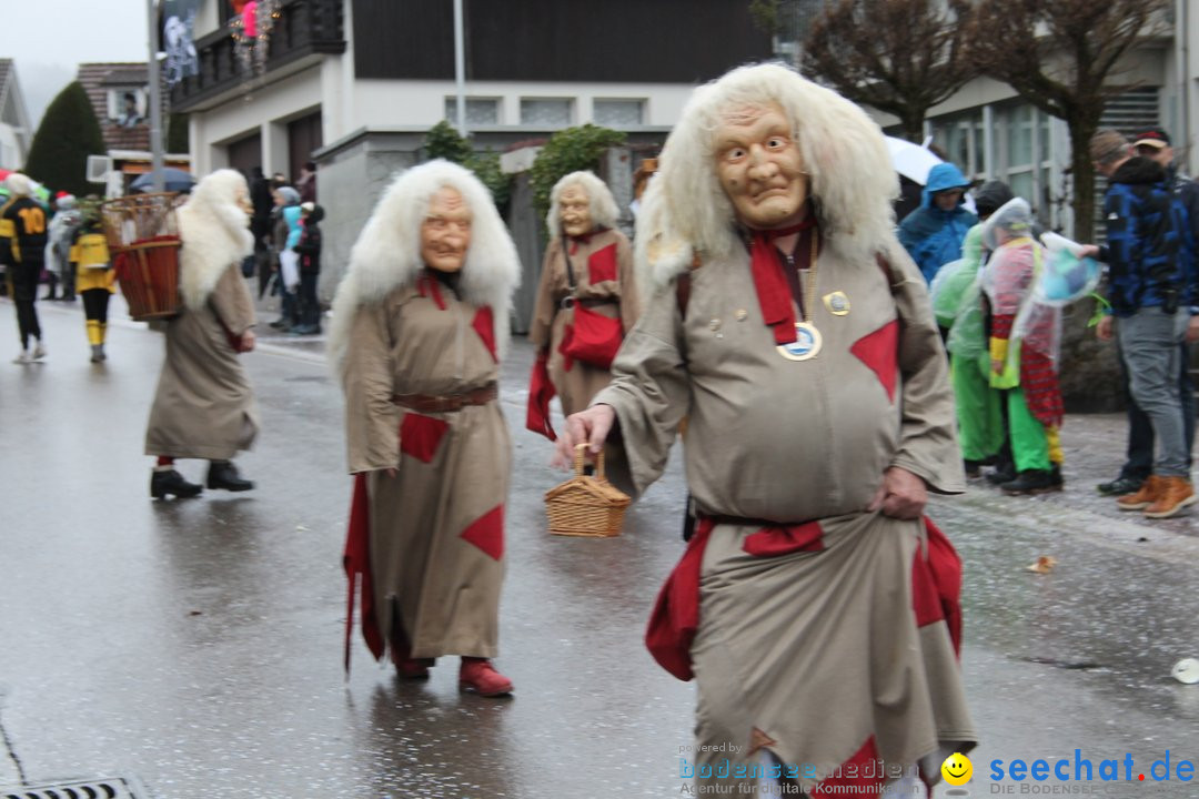 Bezirksumzug - Feusisberg - Schweiz, 02.02.2020