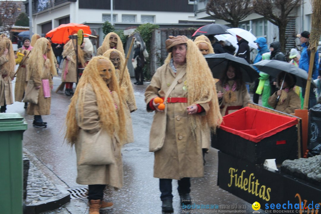 Bezirksumzug - Feusisberg - Schweiz, 02.02.2020