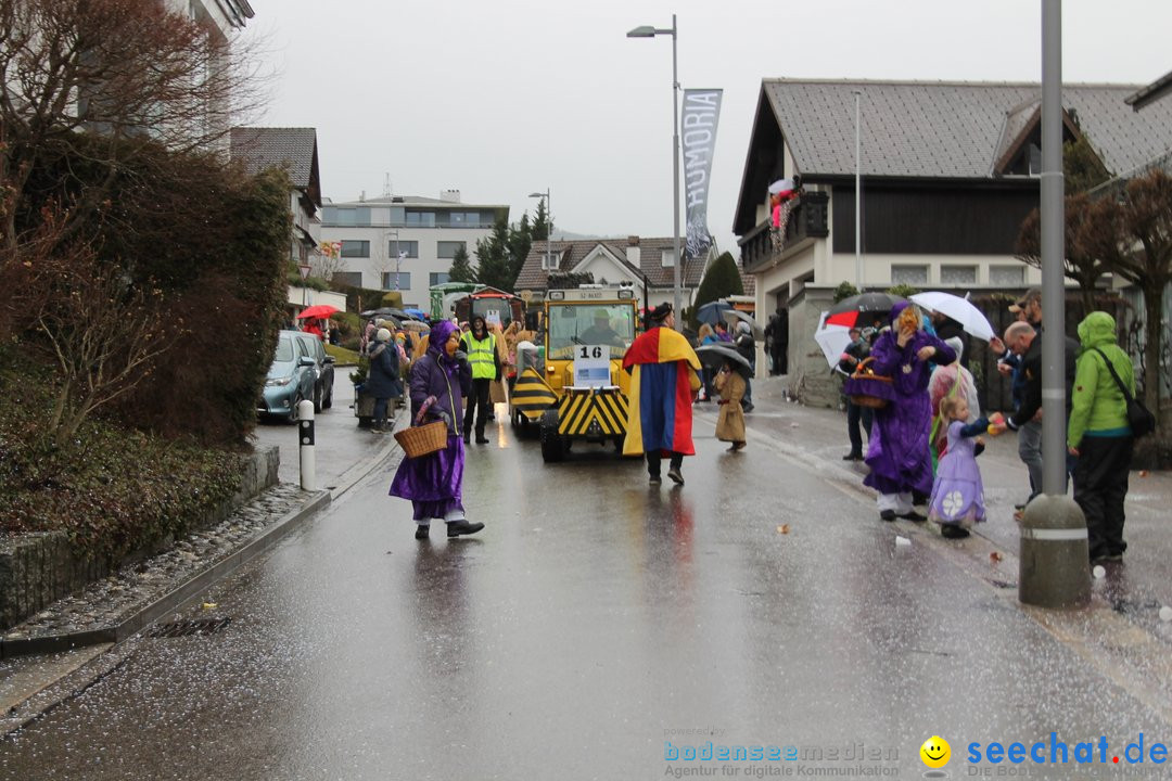 Bezirksumzug - Feusisberg - Schweiz, 02.02.2020