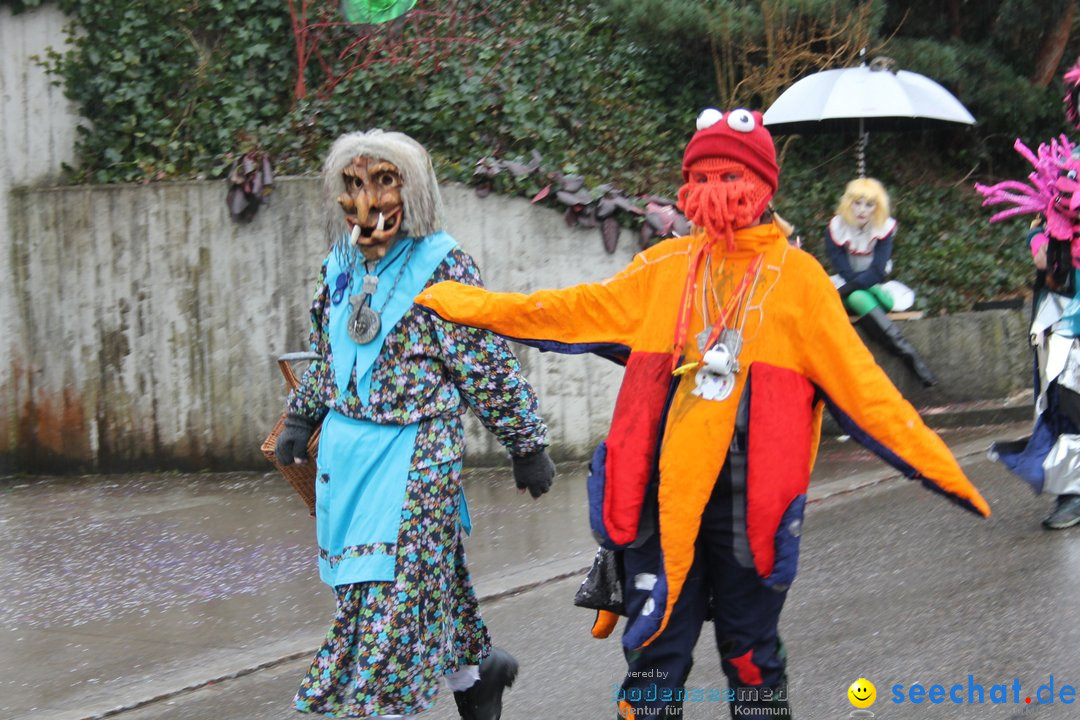 Bezirksumzug - Feusisberg - Schweiz, 02.02.2020