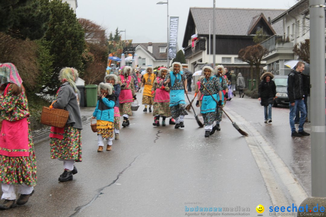 Bezirksumzug - Feusisberg - Schweiz, 02.02.2020