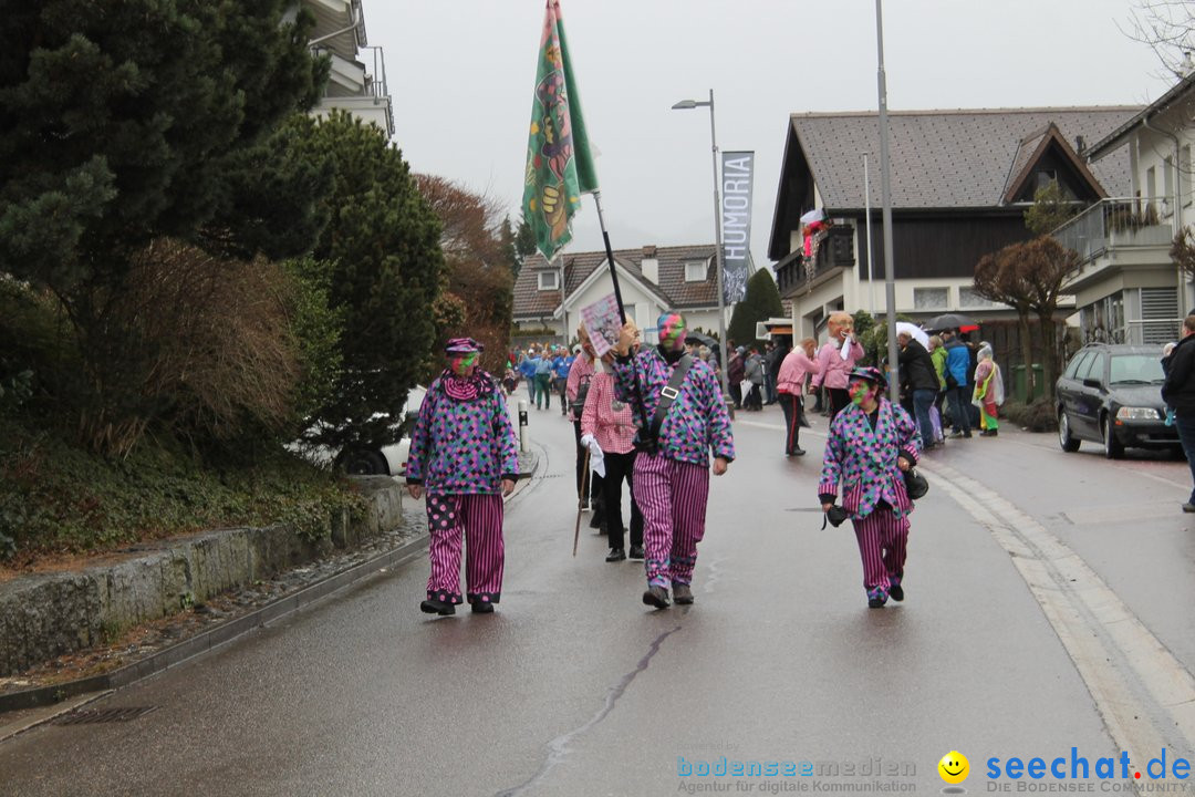 Bezirksumzug - Feusisberg - Schweiz, 02.02.2020