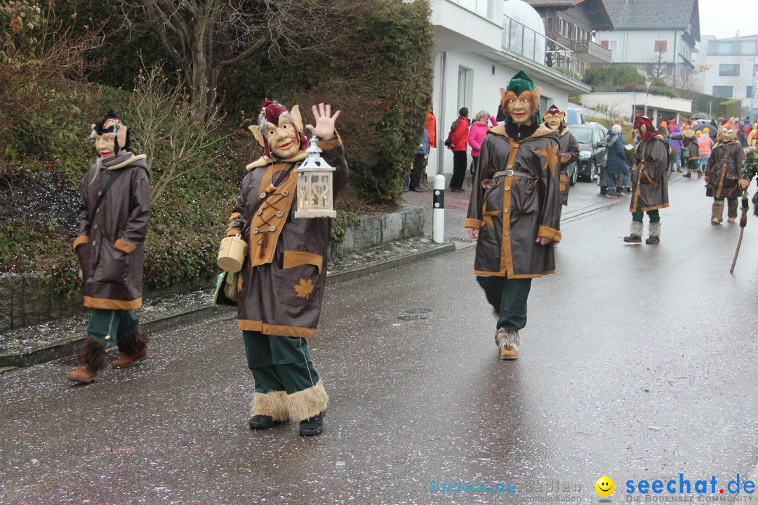 Bezirksumzug - Feusisberg - Schweiz, 02.02.2020